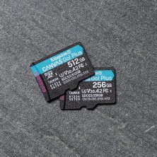 kingston-technology-canvas-go-plus-256-gb-microsd-uhs-i-clase-10-7.jpg